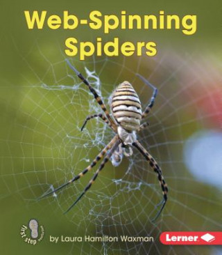 Książka Web Spinning Spiders Laura Waxman