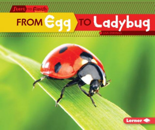 Книга From Egg to Ladybug Lisa Owings