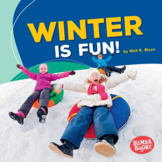 Buch Winter Is Fun! Walt Moon