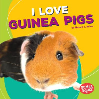 Książka I Love Guinea Pigs Harold Rober