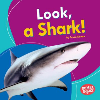 Könyv Look, a Shark! Tessa Kenan