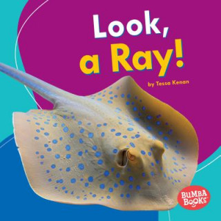 Knjiga Look, a Ray! Tessa Kenan