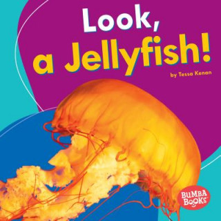 Kniha Look, a Jellyfish! Tessa Kenan