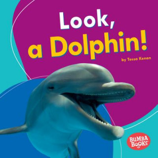 Buch Look, a Dolphin! Tessa Kenan