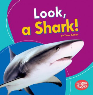 Book Look, a Shark! Tessa Kenan