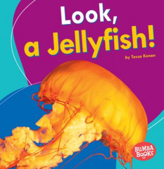 Könyv Look, a Jellyfish! Tessa Kenan