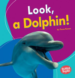 Book Look, a Dolphin! Tessa Kenan