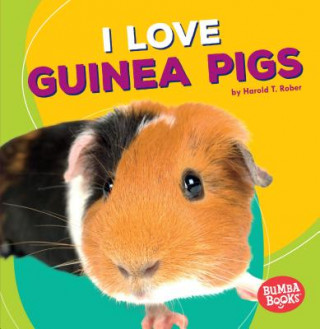 Książka I Love Guinea Pigs Harold Rober