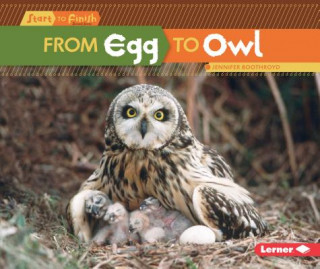 Carte From Egg to Owl Jennifer Boothroyd