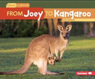Book From Joey to Kangaroo Lisa Owings