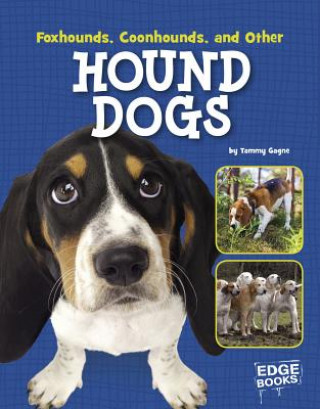 Könyv Foxhounds, Coonhounds, and Other Hound Dogs Tammy Gagne