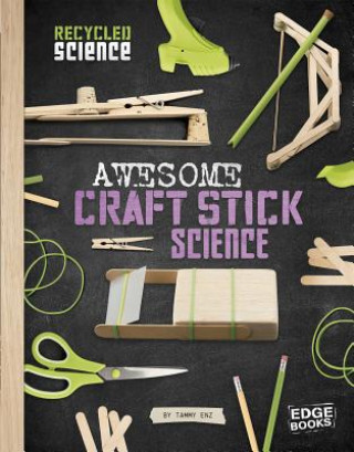 Knjiga Awesome Craft Stick Science Tammy Enz