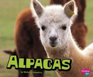 Книга Alpacas Michelle M. Hasselius