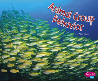 Könyv Animal Group Behaviors Abbie Dunne