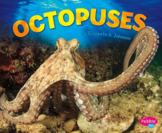 Книга Octopus Elizabeth R. Johnson