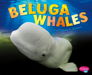 Βιβλίο Beluga Whale Elizabeth R. Johnson