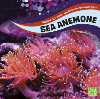 Książka Sea Anemones Jody S. Rake