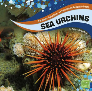 Książka Sea Urchins Jody S. Rake