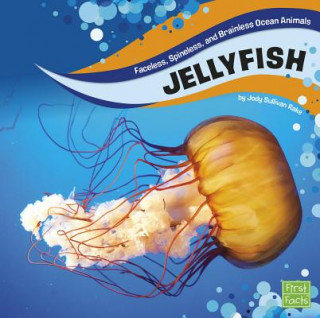 Könyv Jellyfish Jody S. Rake
