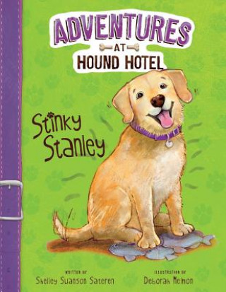 Βιβλίο Stinky Stanley Shelley Swanson Sateren