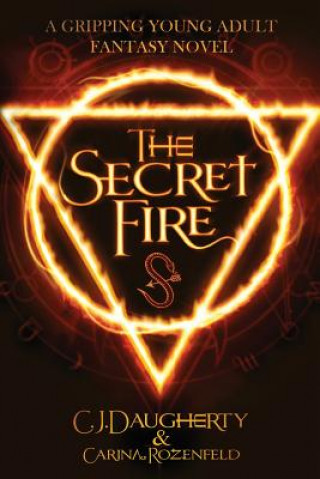 Książka The Secret Fire C. J. Daugherty