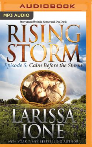 Digital Calm Before the Storm Larissa Ione