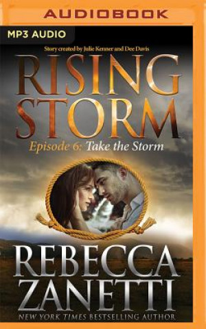 Digital Take the Storm Rebecca Zanetti