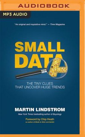 Audio Small Data Martin Lindstrom