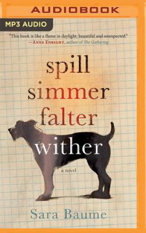 Audio Spill Simmer Falter Wither Sara Baume