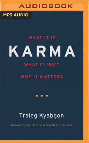 Digital Karma Traleg Kyabgon