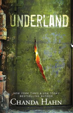 Book Underland Chanda Hahn