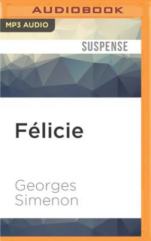 Digital Félicie Georges Simenon