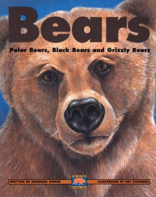 Knjiga Bears Deborah Hodge