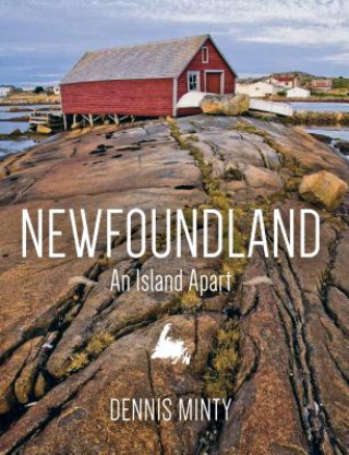 Carte Newfoundland Dennis Minty