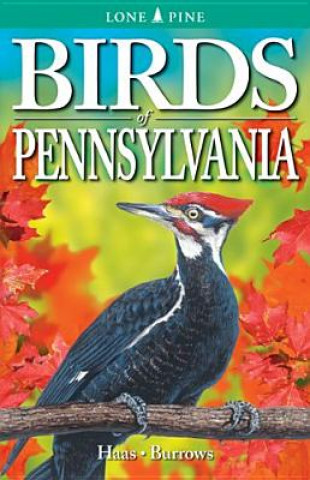Kniha Birds of Pennsylvania Franklin Haas