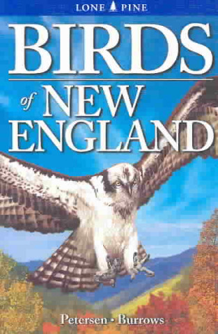 Kniha Birds of New England Roger Burrows