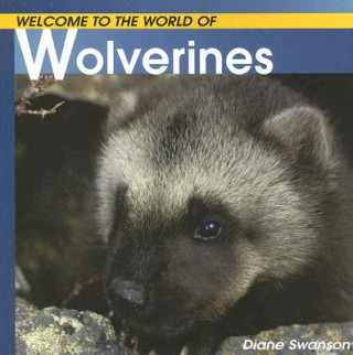 Carte Welcome to the World of Wolverines Diane Swanson