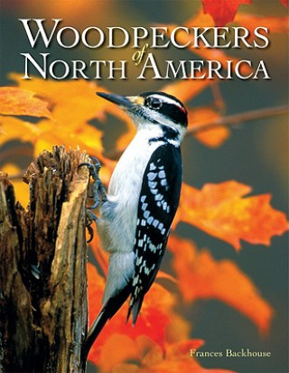 Carte Woodpeckers of North America Frances Backhouse