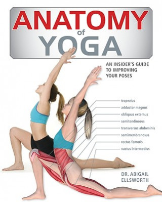 Kniha Anatomy of Yoga Abigail Ellsworth