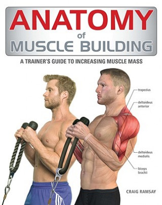 Buch Anatomy of Muscle Building Craig Ramsay