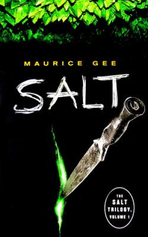 Buch Salt Maurice Gee