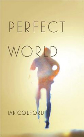 Carte Perfect World Ian Colford