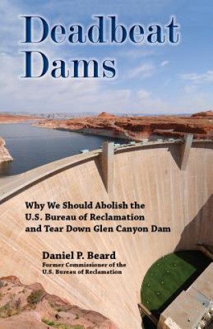 Könyv Deadbeat Dams Daniel P. Beard