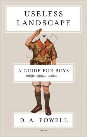 Kniha Useless Landscape, or a Guide for Boys D. A. Powell