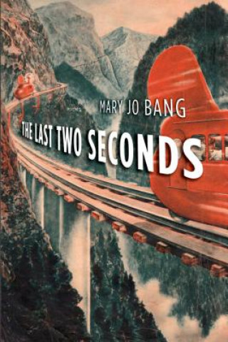 Könyv The Last Two Seconds Mary Jo Bang