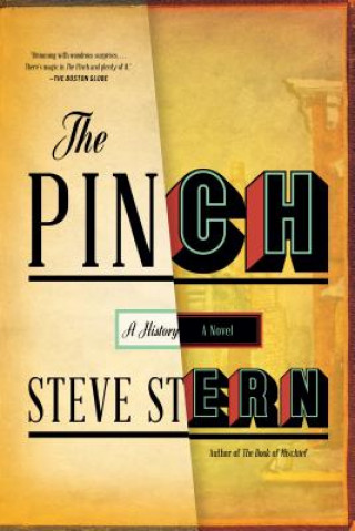 Buch Pinch Steve Stern