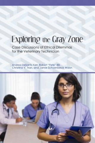 Könyv Exploring the Gray Zone Andrea Desantis Kerr