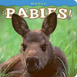 Libro Moose Babies Henry H. Holdsworth