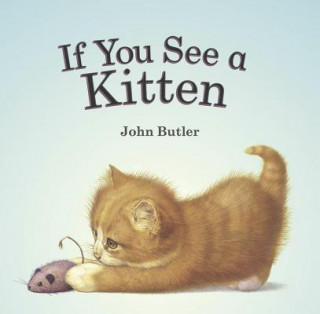 Kniha If You See a Kitten John Butler