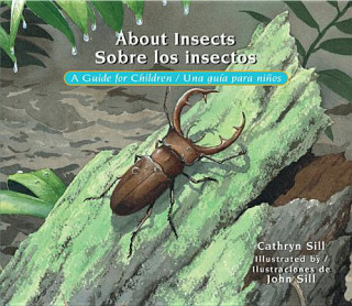 Carte About Insects / Sobre los insectos Cathryn Sill